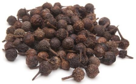 Piper cubeba -3.jpg Piper cubeba -3.jpg